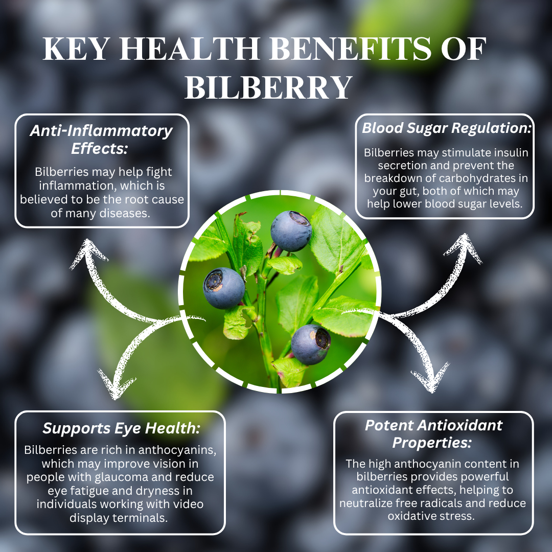 Bilberry Extract 2000mg – Eye & Antioxidant Boost